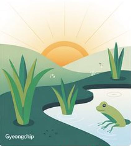 2026년 경칩 : 경칩 풍습과 봄맞이 건강음식 총정리