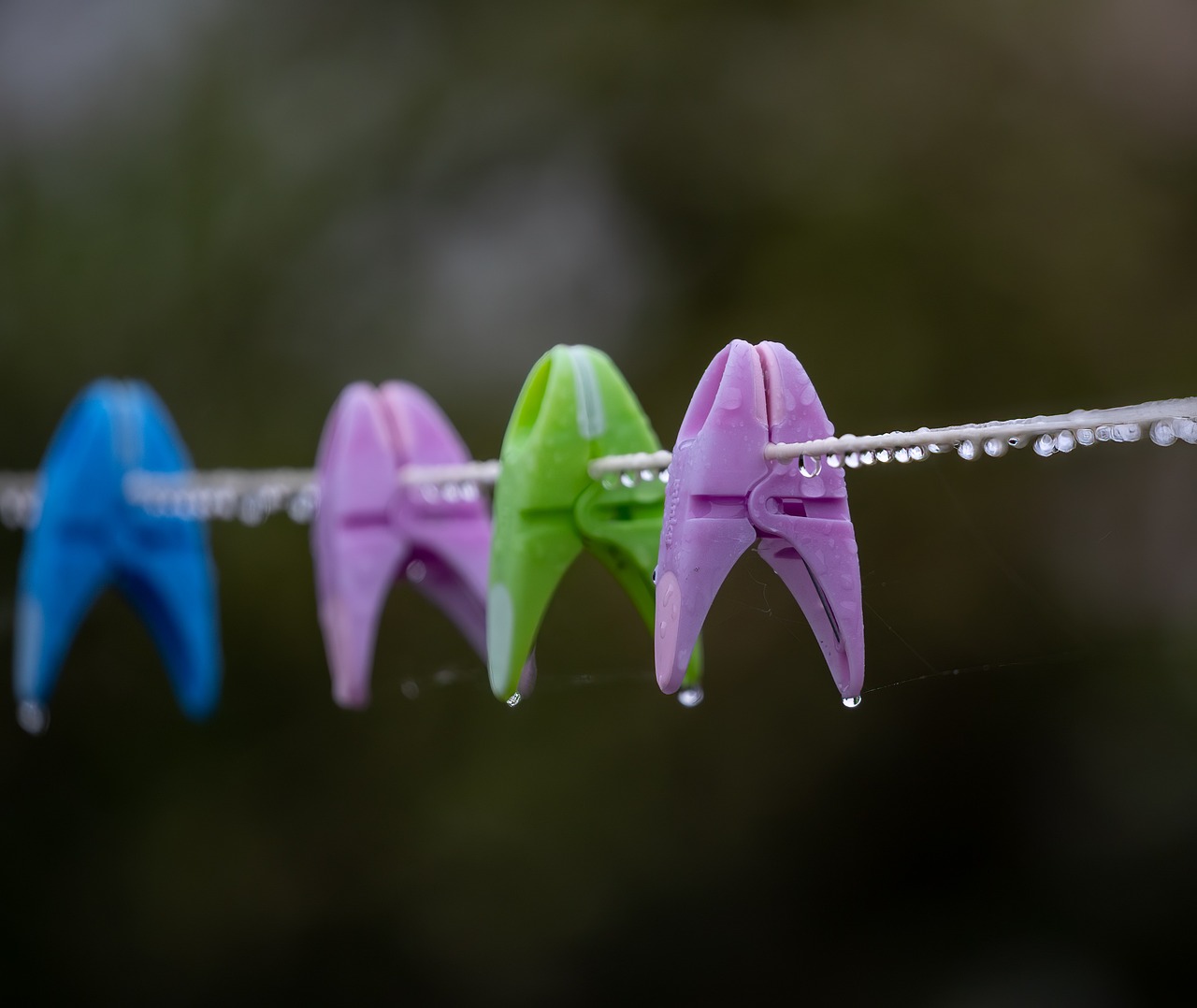 5월 인사말 모음! 40가지 꼭 전하세요