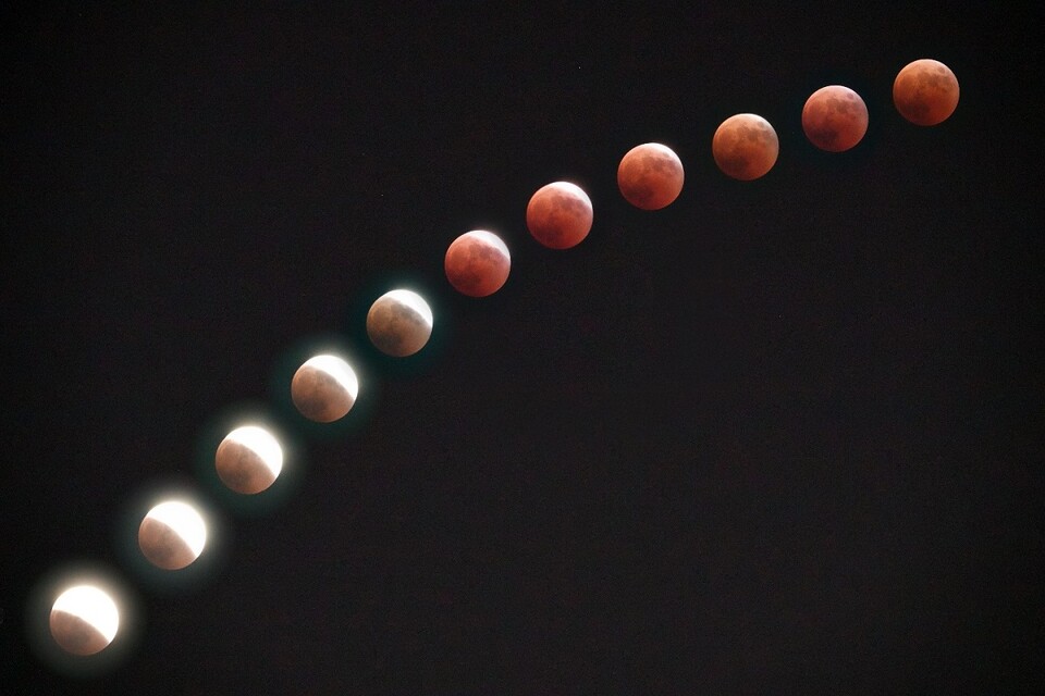 개기월식 진행단계