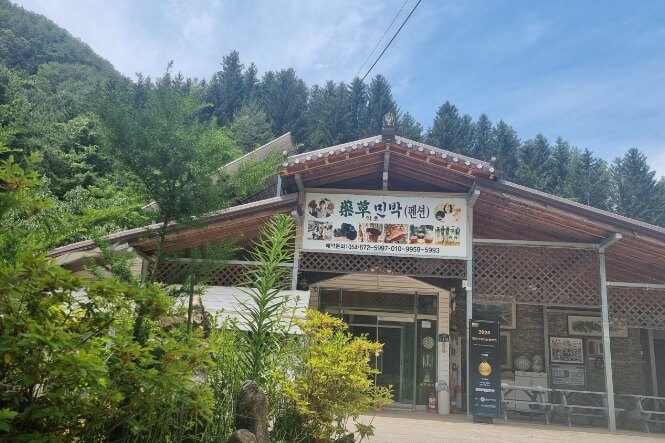 봉화약초민박