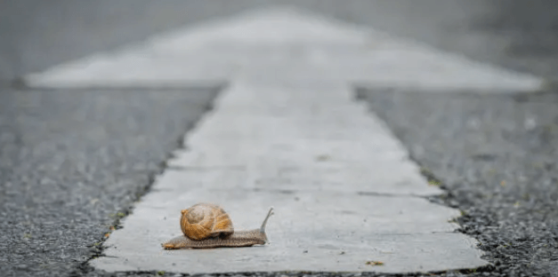 조용한 아침의 힘, 하루의 리듬을 바꾸는 시작의 기술