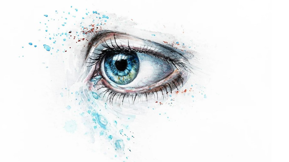 안구 관련 이미지