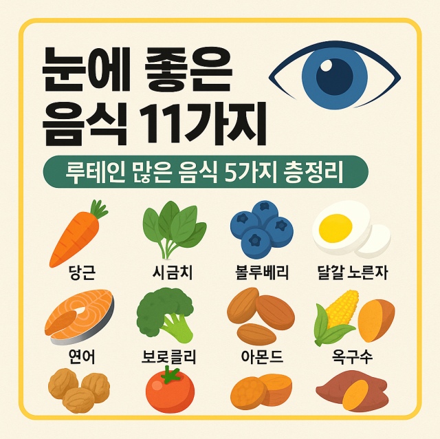 눈에 좋은 음식 11가지와 루테인이 많은 음식 5가지를 정리한 대표 이미지로 시력 보호와 안구 건강에 도움이 되는 식품 정보를 담은 그림