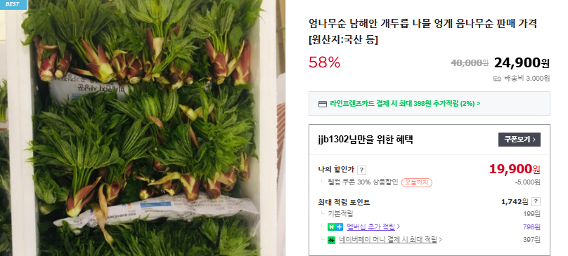 엄나무순 채취 시기 및 6가지 효능 (+ 나물 무침 장아찌 담그기 요리법)