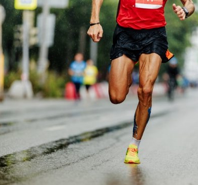 2026마라톤 대회일정 서울 부산 대구 제주