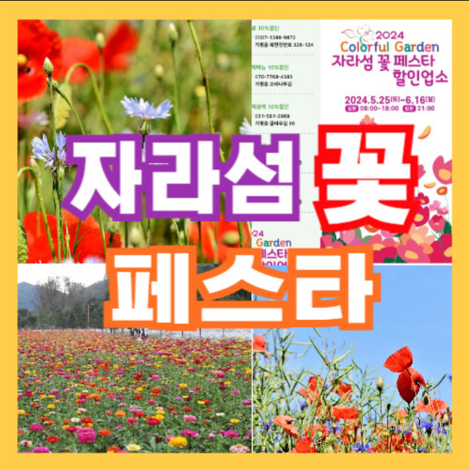 자라섬 꽃축제 입장료 가는길 주차꿀팁(+행사기간)
