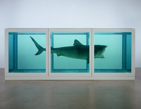 The Physical Impossibility of Death in the Mind of Someone Living by Damian Hirst(1991)-ArtStrollNote