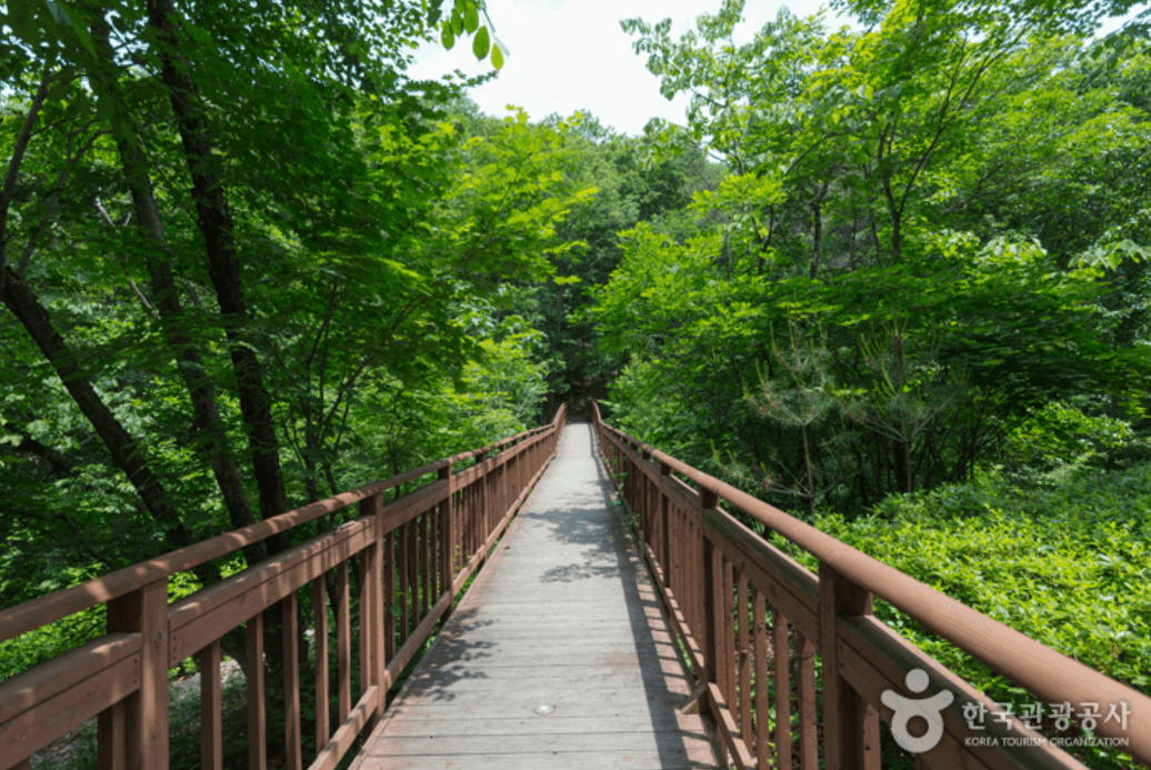 국립 용화산자연휴양림