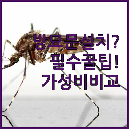 방묘문 설치 전 꼭 확인해야 할 3가..
