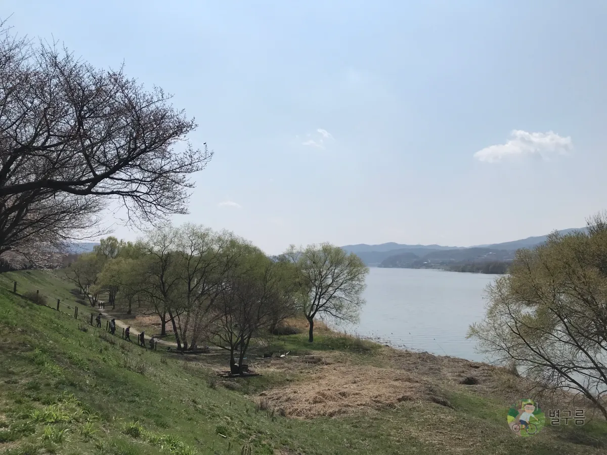 갈산공원-느티나무-풍경