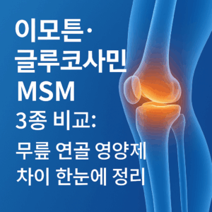무릎 연골 영양제 비교: 이모튼&middot;글루코사민&middot;MSM 한눈에 정리