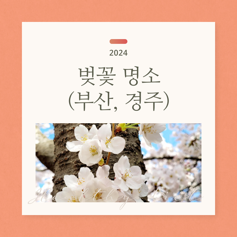 벚꽃명소