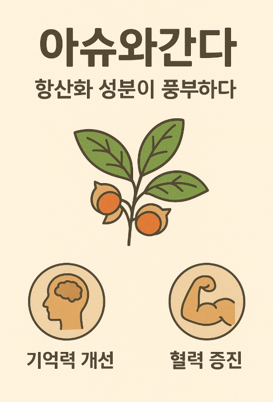 아슈와간다