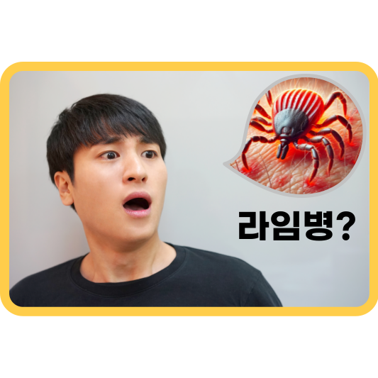 라임병이란?