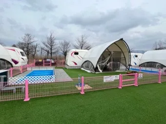 포천애견글램핑 포천 애견식당 당일치기 글램핑 해피캠핑 바베큐 바우어캠프 포천 완벽 체험_10