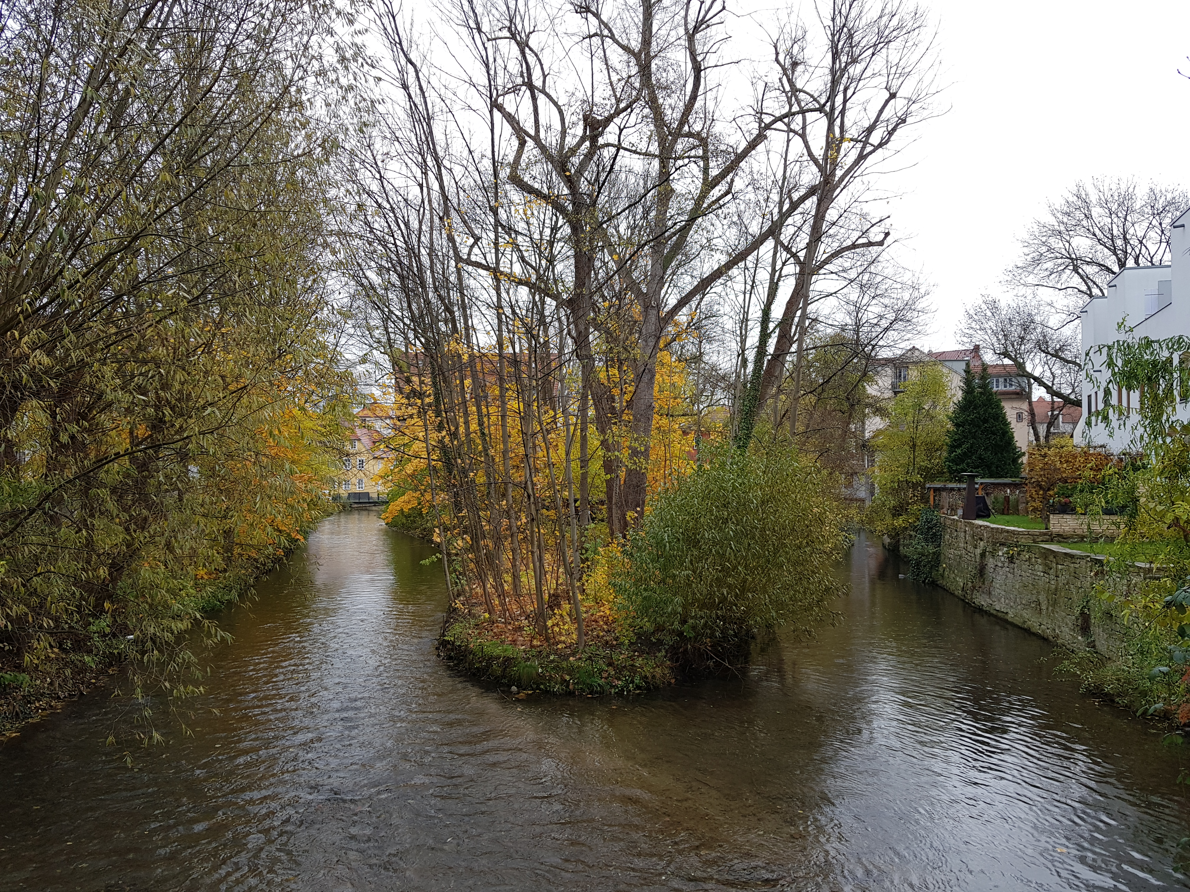 에르푸르트 사진