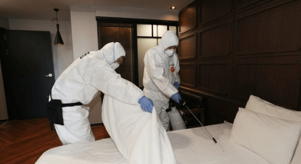 충북 충주 빈대 발견 퇴치법 질병관리청