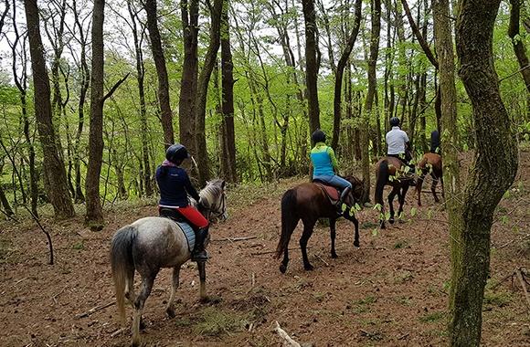 제주 여행 관광