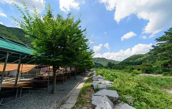 온드림캠프