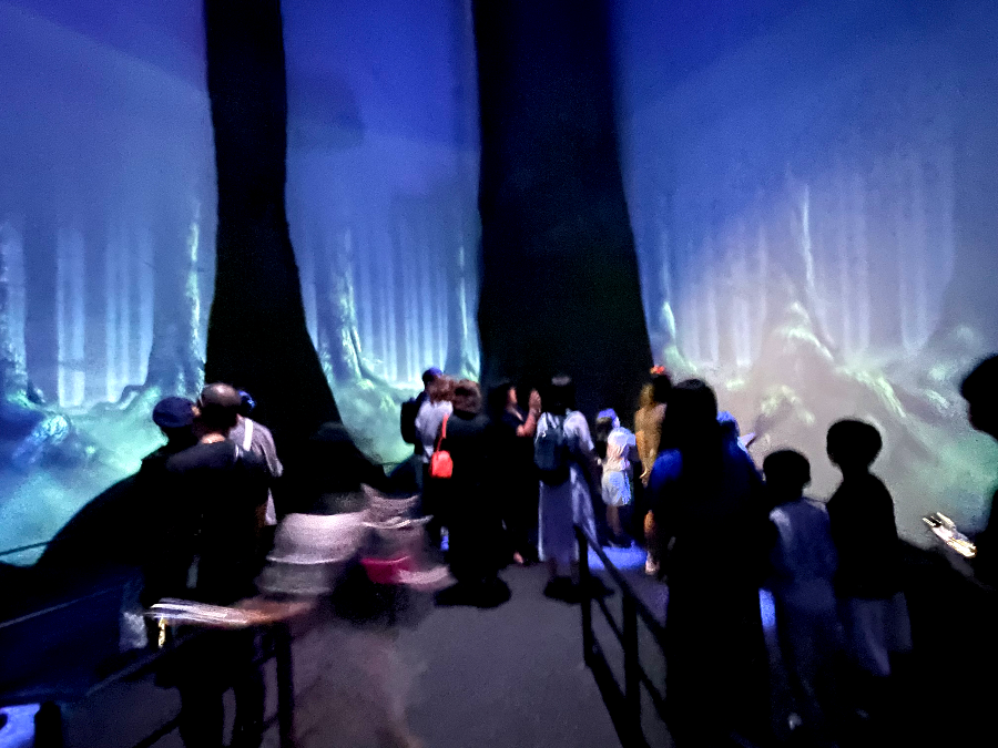 해리 포터의 공포스러운 존재 디멘터