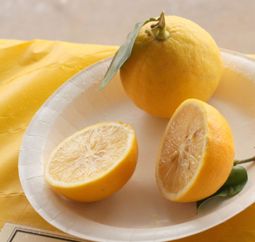 베르가못오렌지