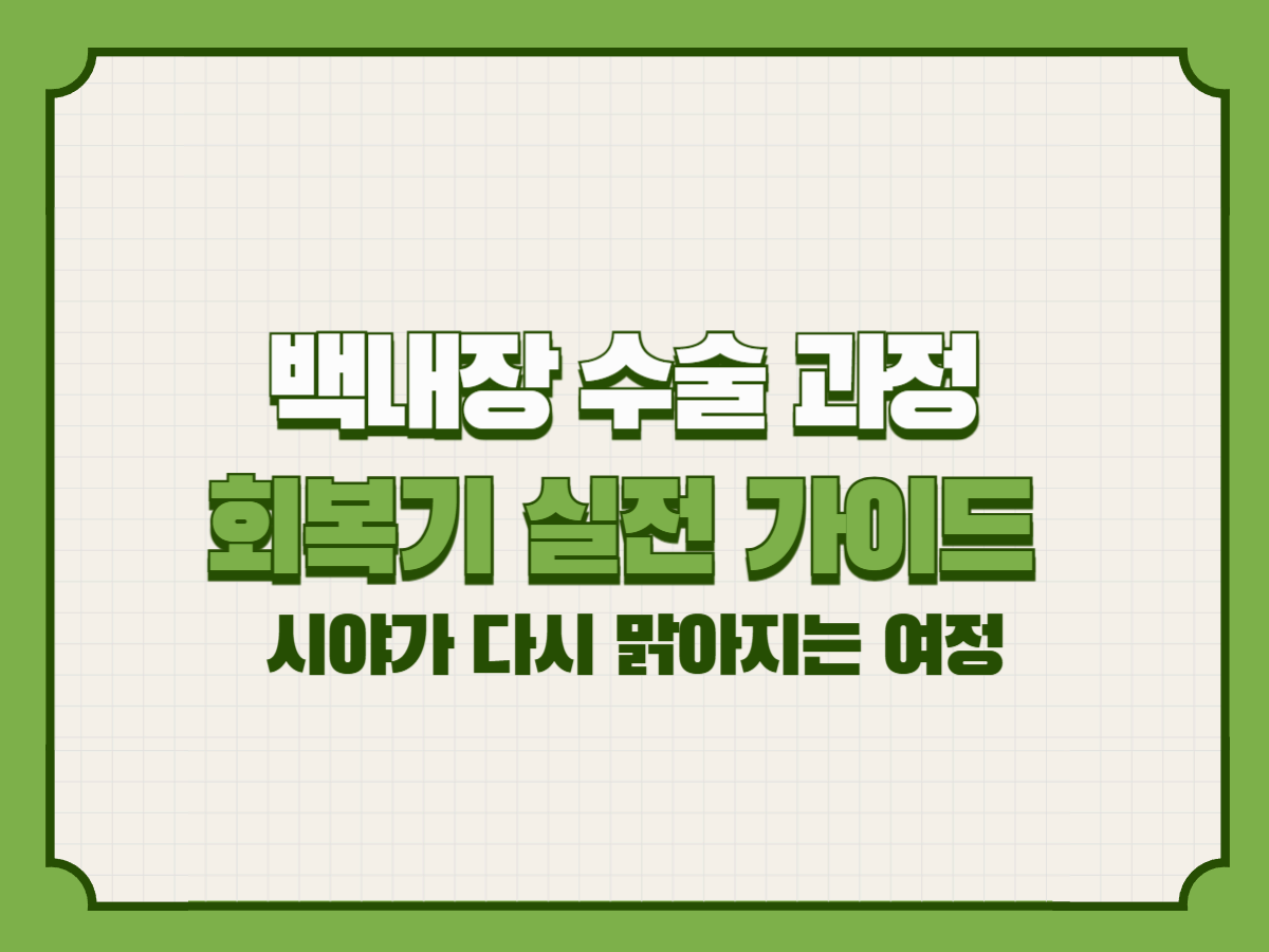 백내장 수술 과정 및 회복기 실전 가이드 – 시야가 다시 맑아지는 여정