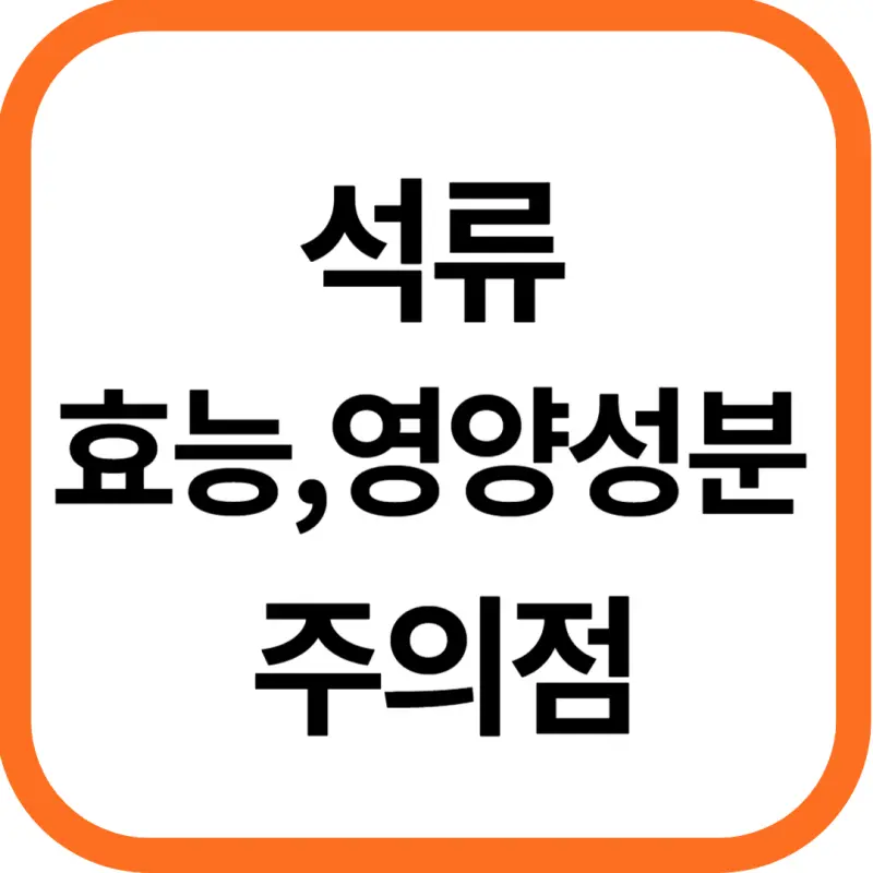 석류 효능 및 영양성분&#44; 주의점