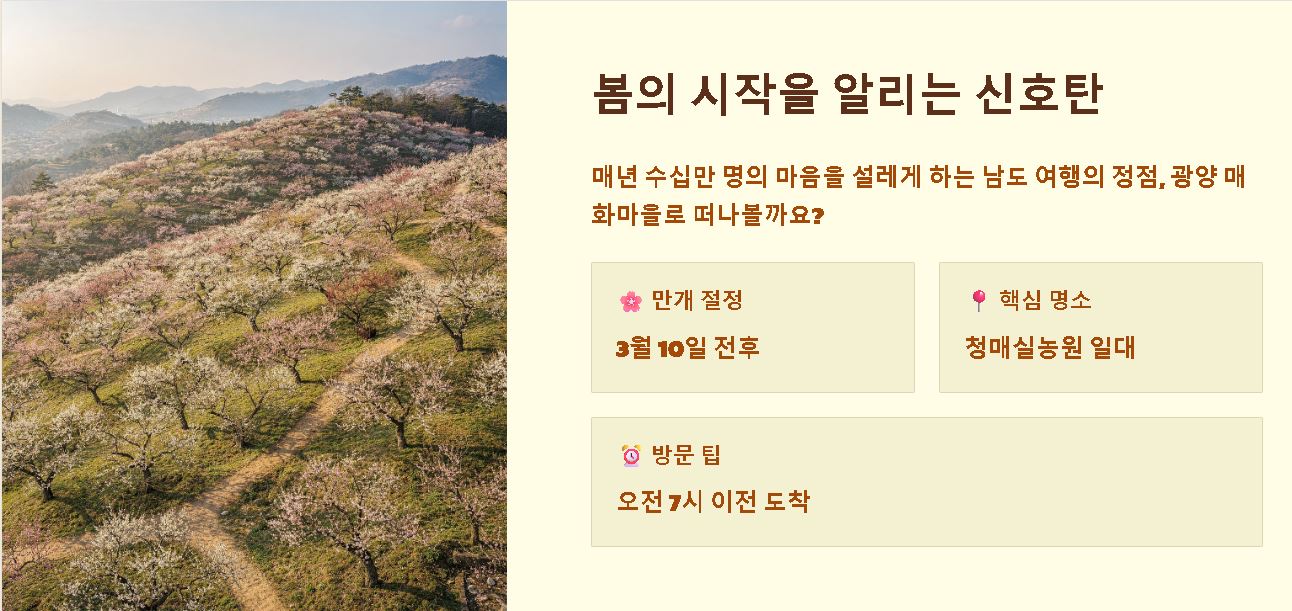 광양 매화 개화시기 안내