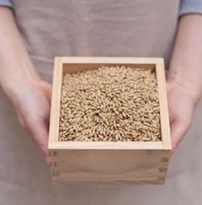 국산햇겉보리 통겉보리 엿기름 보리차 새싹보리씨앗 부안&#44; 1팩&#44; 통겉보리5kg