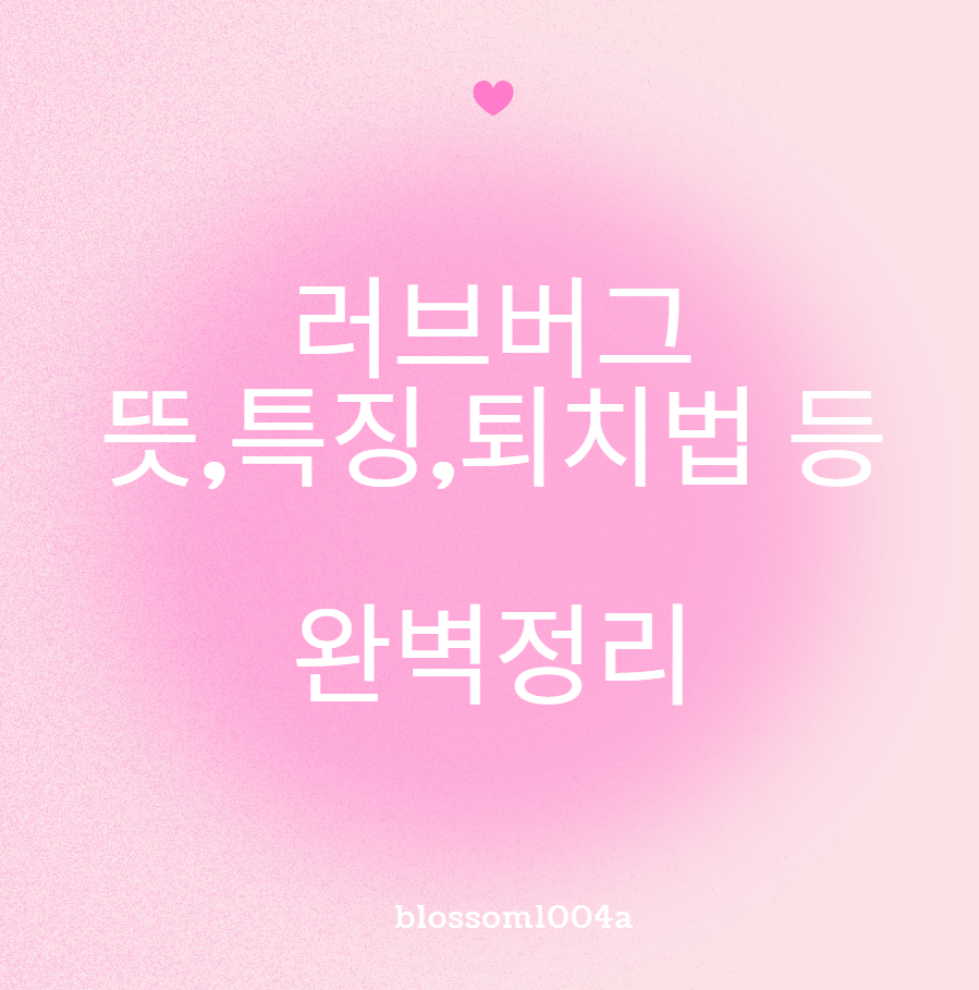 러브버그 (뜻,특징,퇴치법,출몰시기 등) 완벽정리