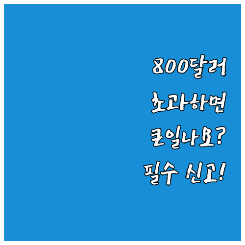 면세 한도 800달러와 주류 담배 향..