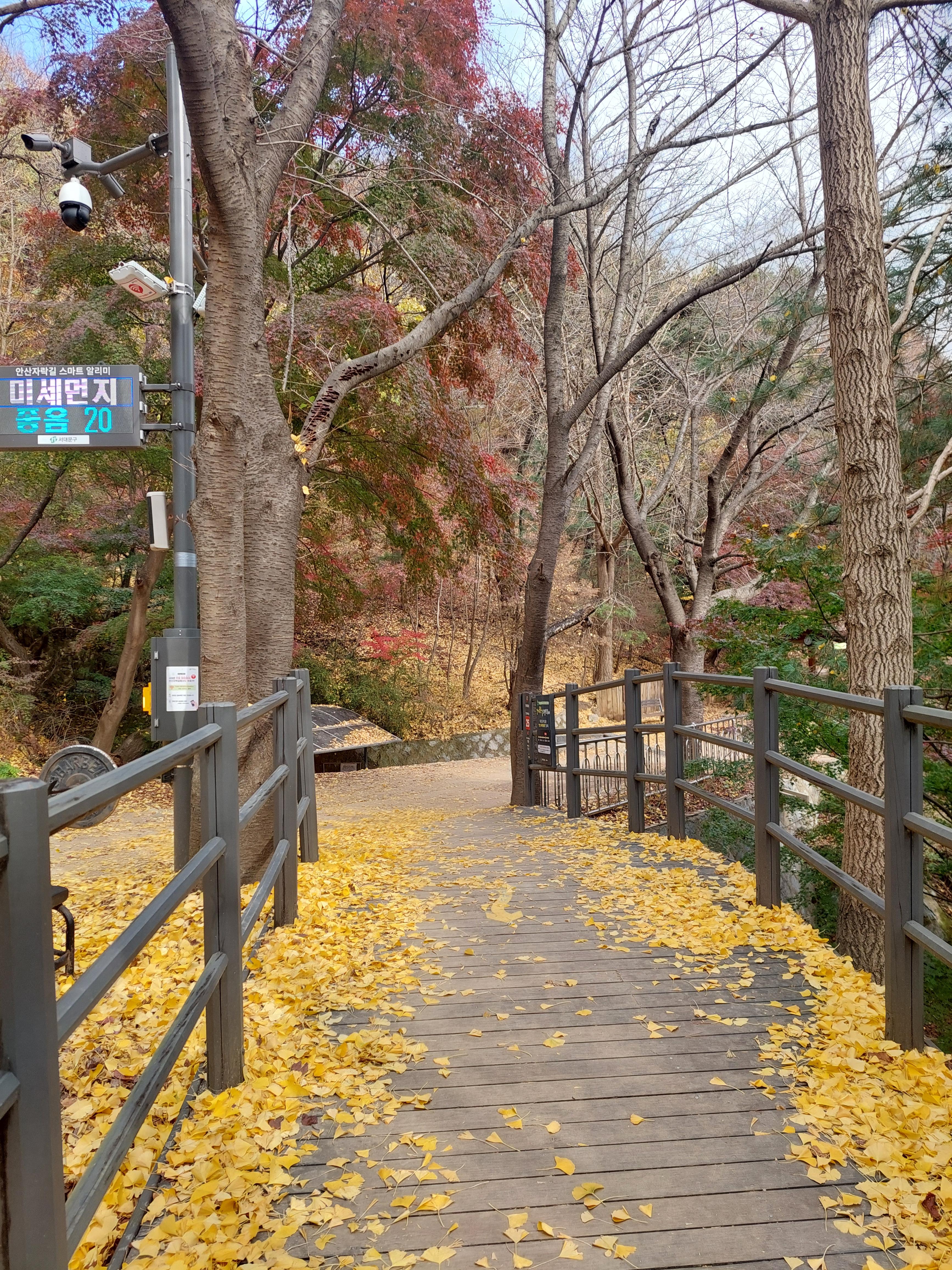 안산