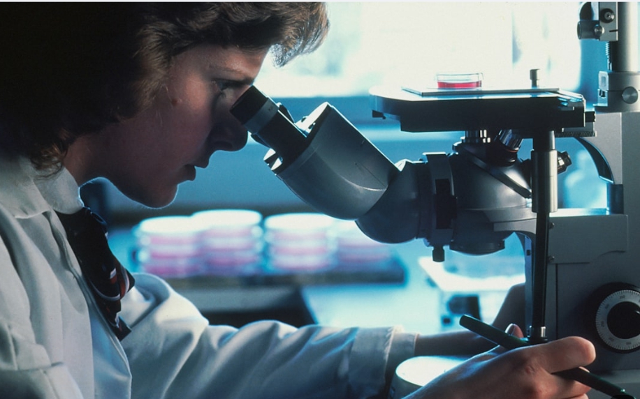 췌장암 초기증상 관리법 총정리