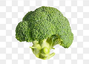 브로콜리 효능 및 부작용