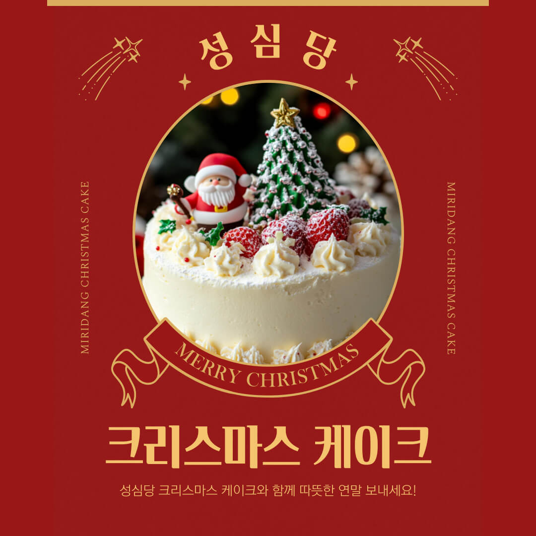 성심당 크리스마스 케이크 딸기시루