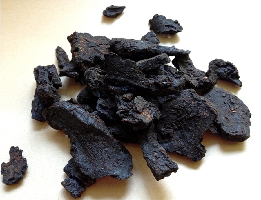 야생에서 채취를 한 육종용을 깨끗하게 세척하고 건조시킨 것을 9번 찌고 9번 말린 것을 하얀 바닥 위에 여러 개 놓아두고 찍은 사진