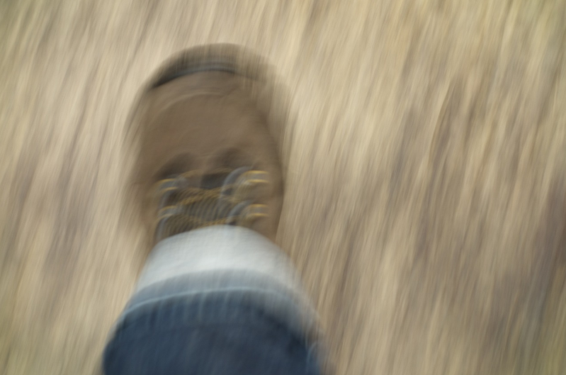 뇌전증의 경계선: 1회성 발작 vs 만성 뇌전증 그리고 난치성 뇌전증의 이해