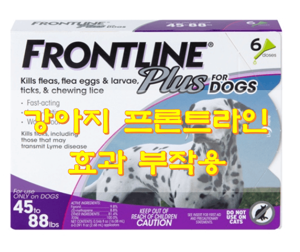 프론트라인-플러스-사진