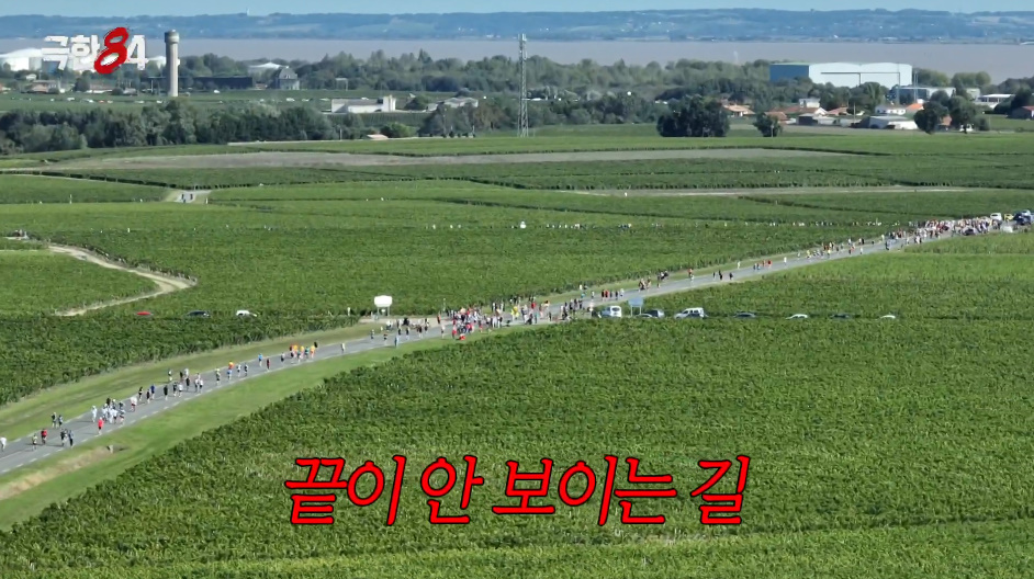 생각보다 빡세다는 프랑스 메독 마라톤 출전한 기안84.jpg | 인스티즈
