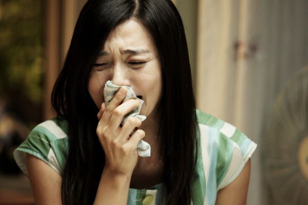 헬로우고스트 네이버영화