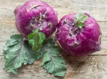 콜라비 효능 및 영양성분, 가격과 먹는법