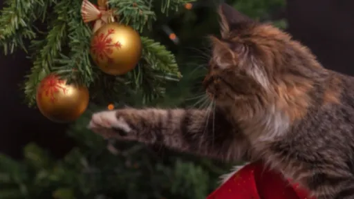 크리스마스와 고양이2