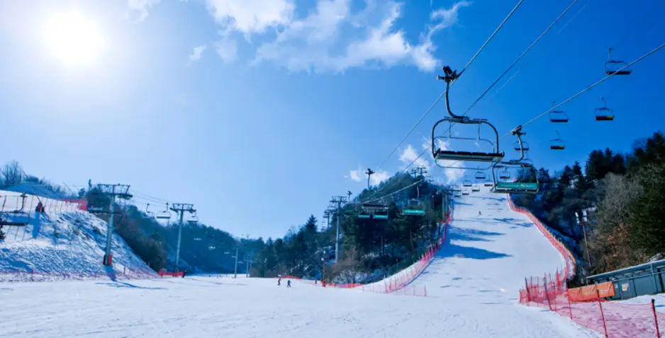 스키장 개장일 엘리시안 강촌