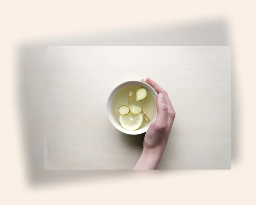 당뇨 고양이 사료_2_subsection