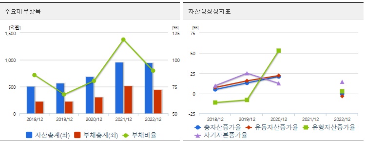 씨싸이트재무지표