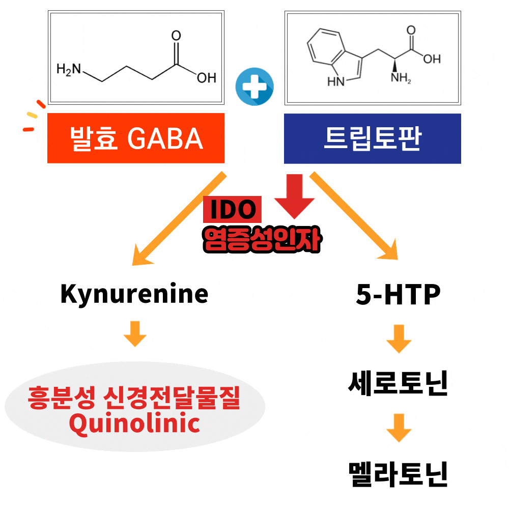 불면증