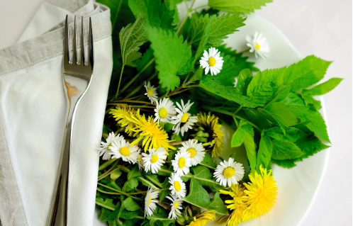봄 제철음식으로 컨디션 회복하는 방법