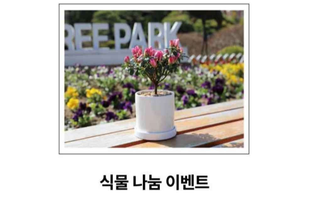 베어트리파크 철쭉제 봄과 철쭉