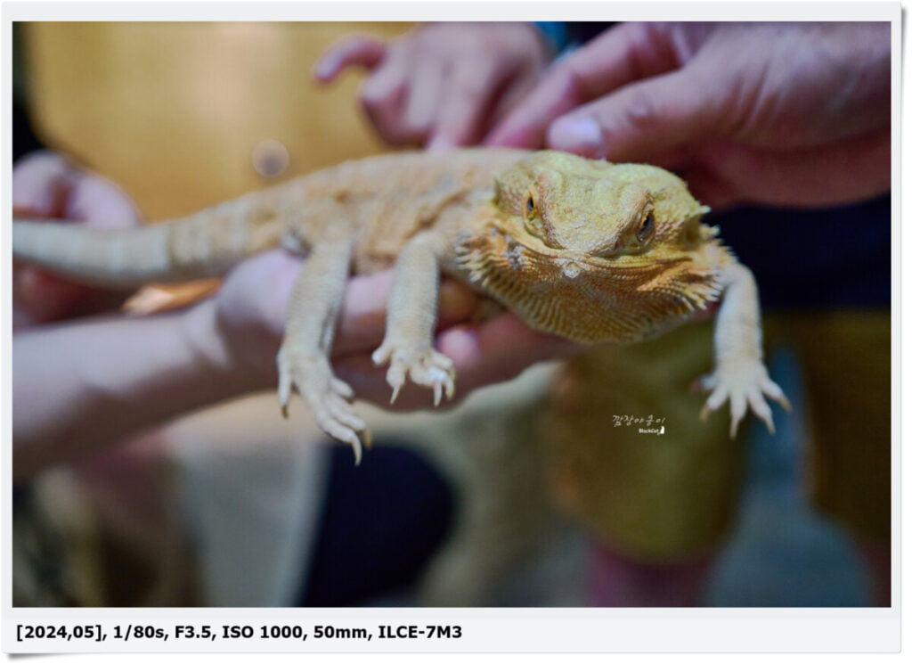 명지 라라쥬, 부산 실내 동물원
