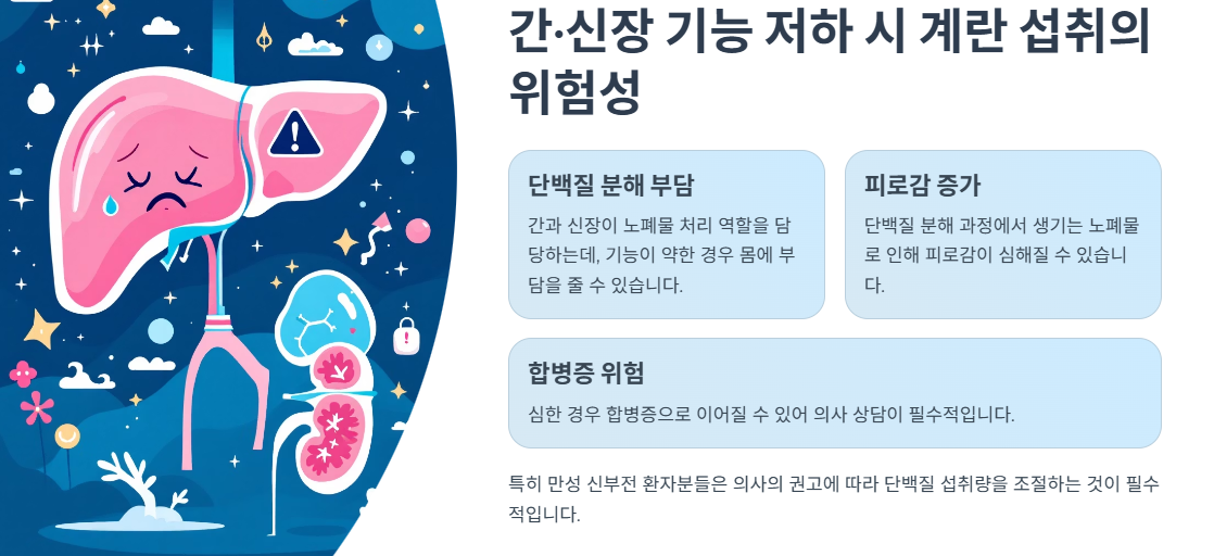 간·신장 기능 저하 시 계란 섭취의 위험성